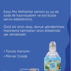 Easy mix Ocean 700 Ml