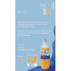 Easy Mix MR. Q 700 ml