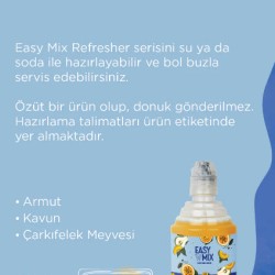 Easy Mix MR. Q 700 ml