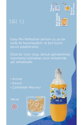 Easy Mix MR. Q 700 ml Easy Mix MR. Q 700 ml