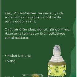 Easy mix X Cool Lime 700 ml