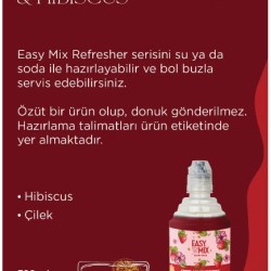 Easy Mix Strawberry & Hibiscus 700 ML