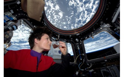 Lavazza Gelecek arzusu,